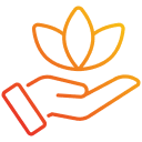 Holistic Approach